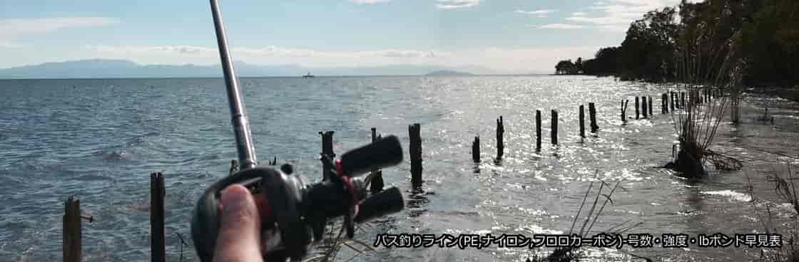 バス釣りライン(PE,ナイロン,フロロカーボン)-号数・強度・lbポンド早見表